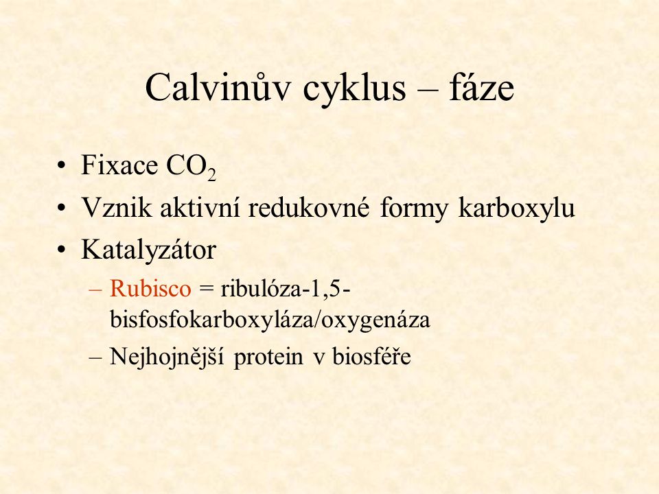 Calvinův cyklus – fáze Fixace CO2
