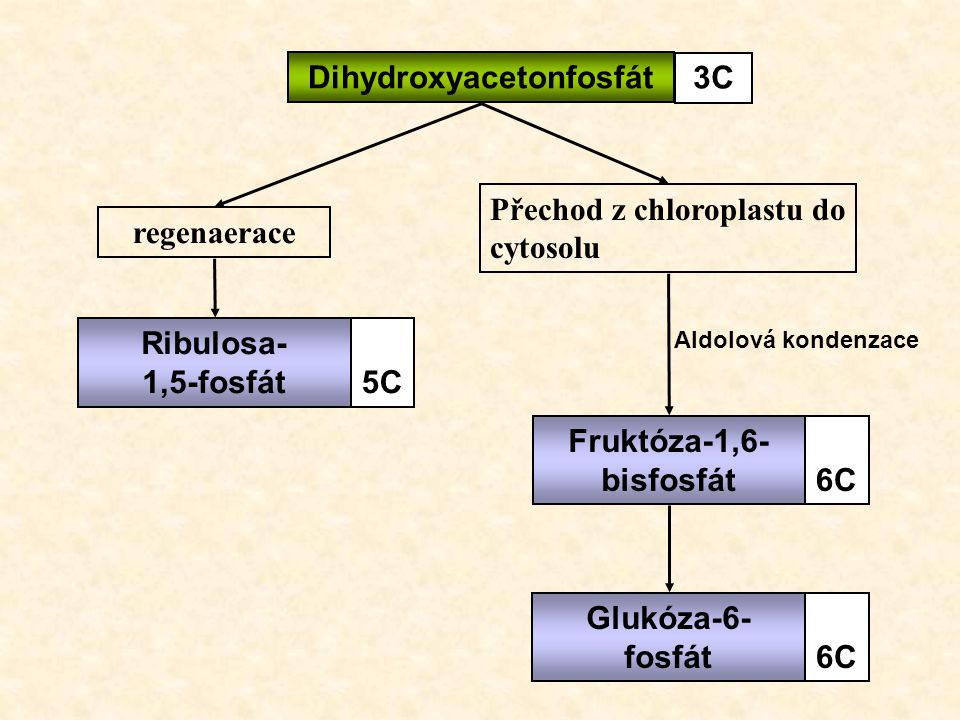 Dihydroxyacetonfosfát