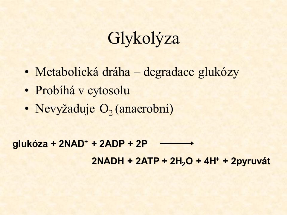 Glykolýza Metabolická dráha – degradace glukózy Probíhá v cytosolu
