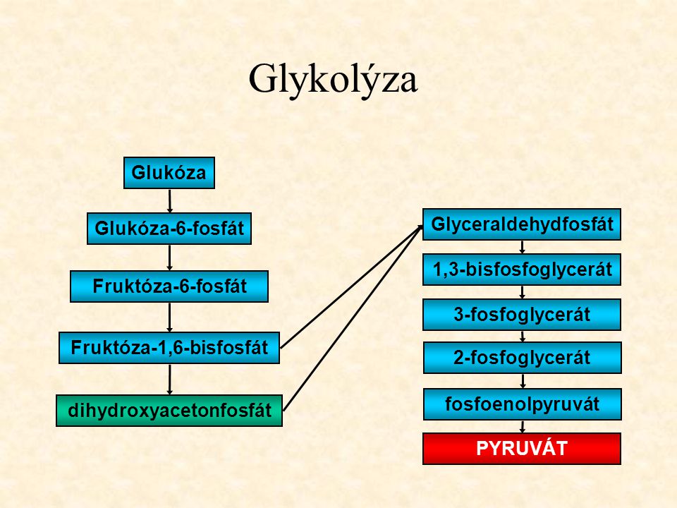 dihydroxyacetonfosfát