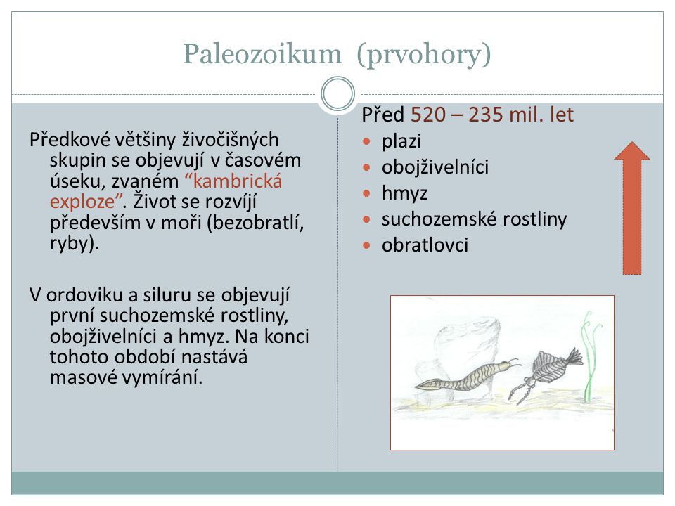 Paleozoikum (prvohory)