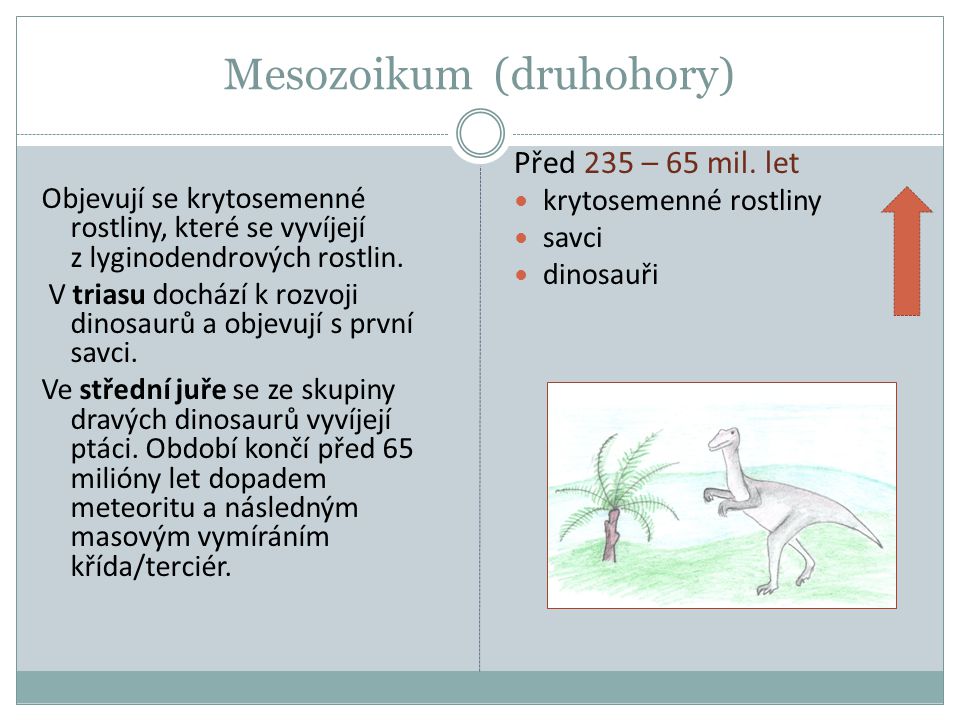 Mesozoikum (druhohory)