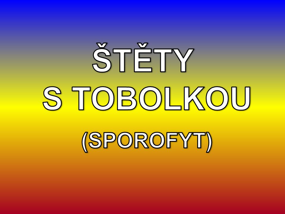 ŠTĚTY S TOBOLKOU (SPOROFYT)
