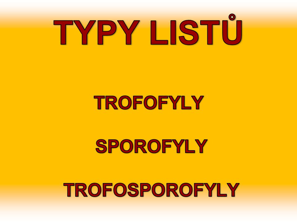TYPY LISTŮ TROFOFYLY SPOROFYLY TROFOSPOROFYLY