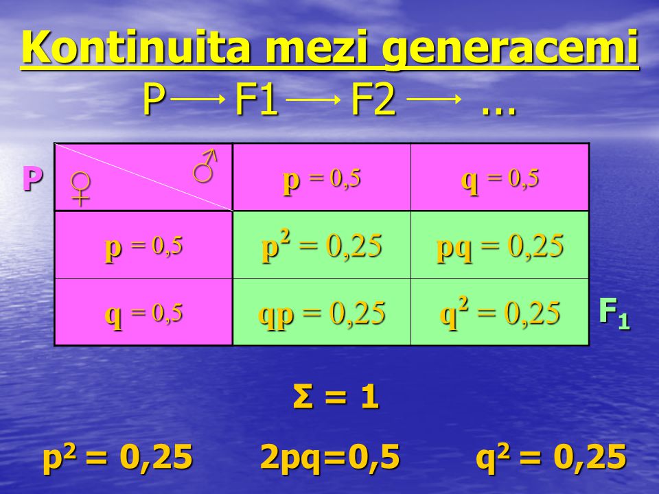 Kontinuita mezi generacemi P F1 F2 ...