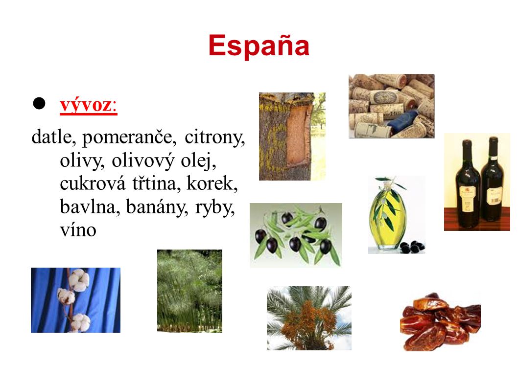España vývoz: datle, pomeranče, citrony, olivy, olivový olej, cukrová třtina, korek, bavlna, banány, ryby, víno.