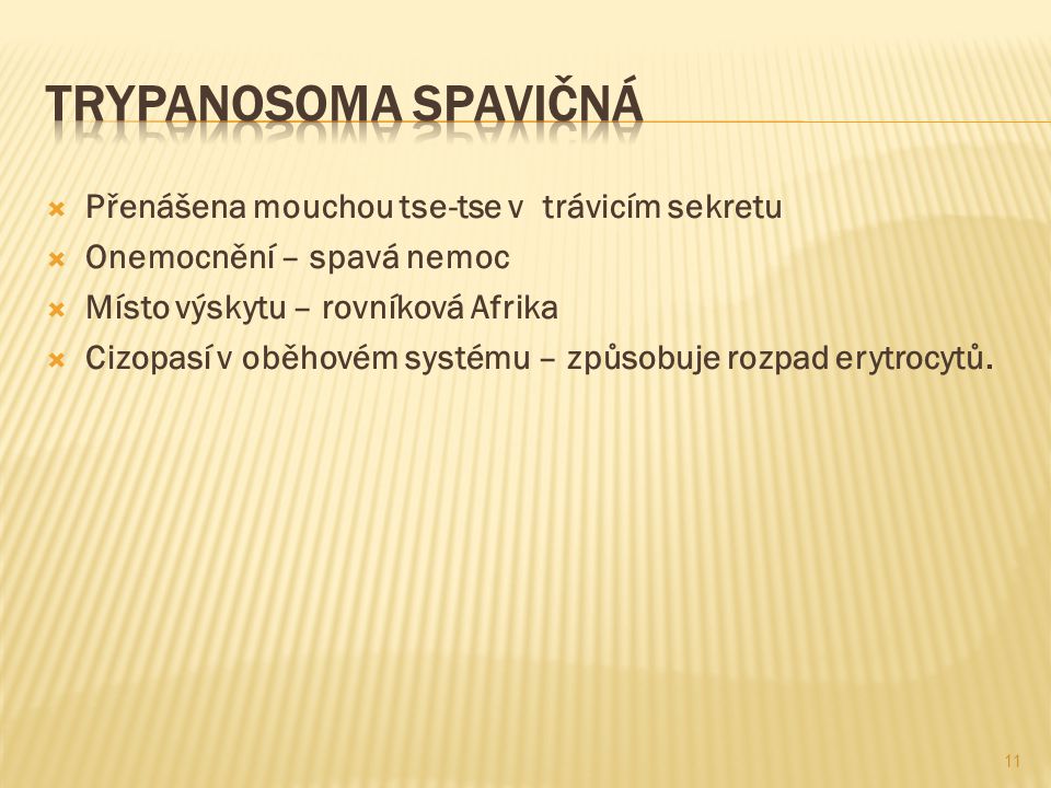 Trypanosoma spavičná Přenášena mouchou tse-tse v trávicím sekretu