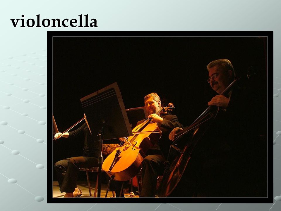 violoncella