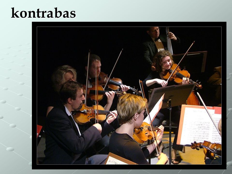 kontrabas Kontrabasista je na snímku vzadu za violistkou.