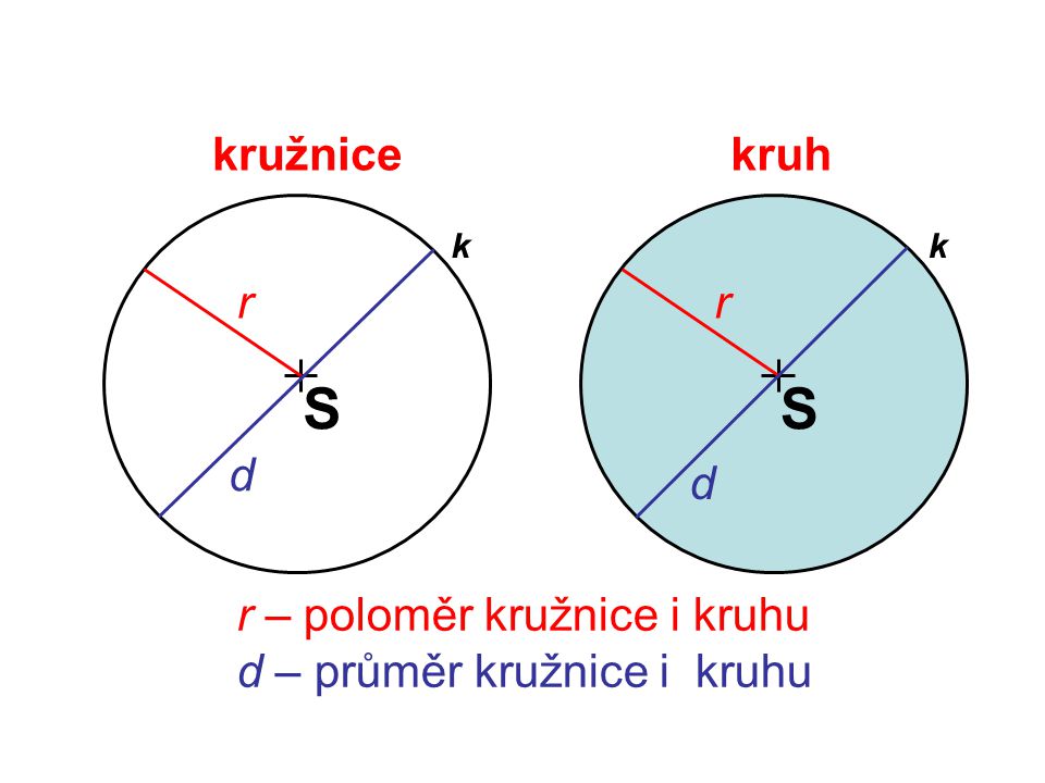 S S kružnice kruh r r d d r – poloměr kružnice i kruhu