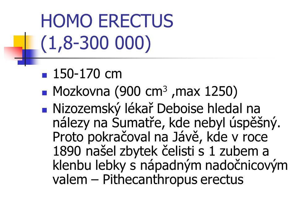 HOMO ERECTUS (1, ) cm Mozkovna (900 cm3 ,max 1250)