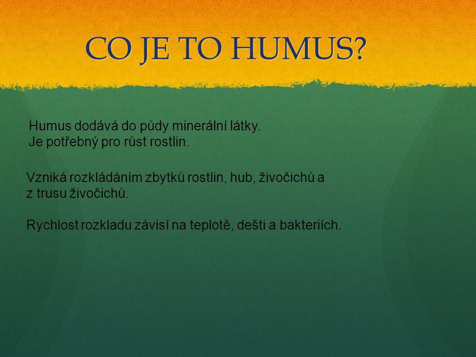 CO JE TO HUMUS Humus dodává do půdy minerální látky.