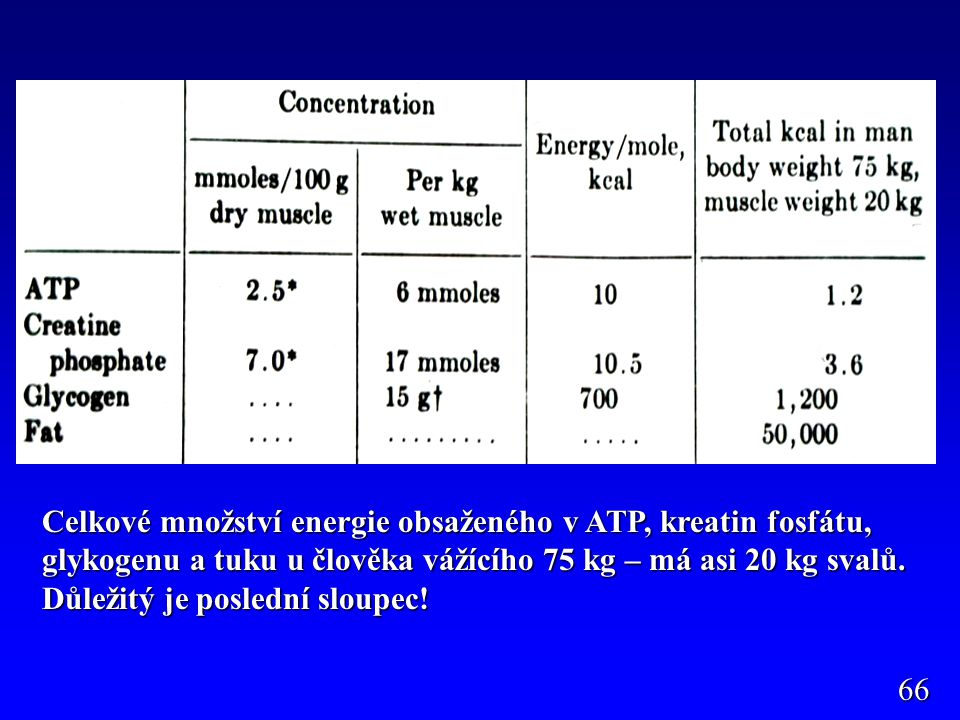 Pohotová energie v ATP a CF, velmi málo jen na sekundy práce, glykogen 1g 4,1 kcal (asi 300g v játrech a ve svalech), tuk 9,3 kcal (různé množství - % tuku – kaliperace).