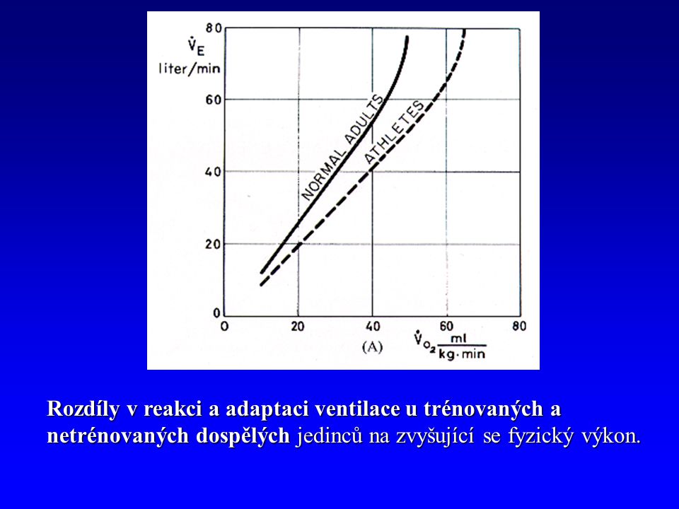 Rozdíly v reakci a adaptaci ventilace u trénovaných a netrénovaných dospělých jedinců na zvyšující se fyzický výkon.