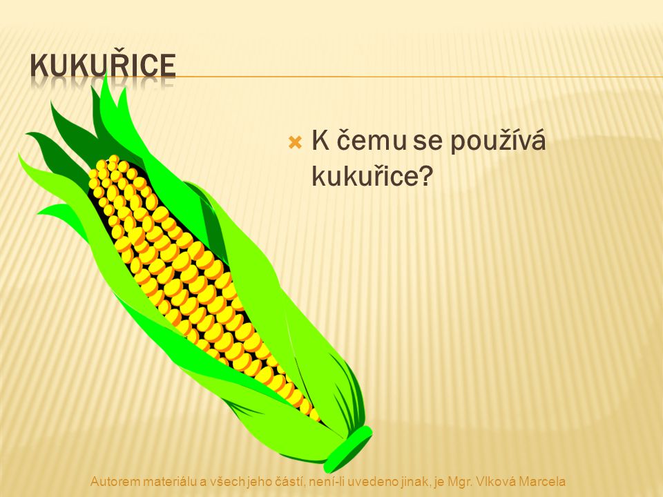 kukuřice K čemu se používá kukuřice
