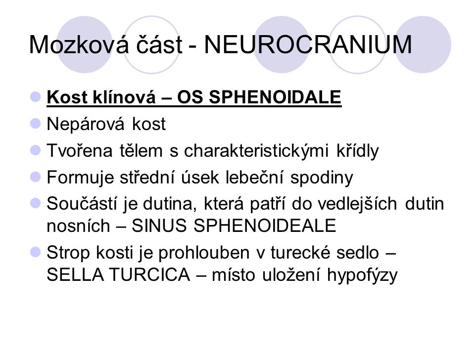 Mozková část - NEUROCRANIUM