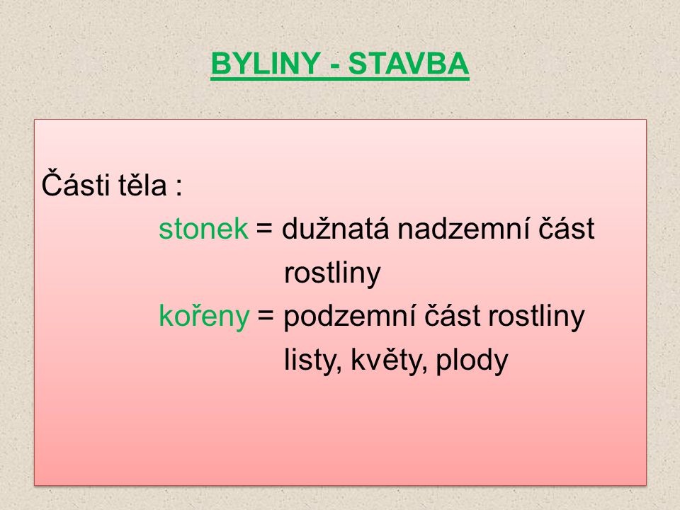 BYLINY - STAVBA Části těla : stonek = dužnatá nadzemní část. rostliny. kořeny = podzemní část rostliny.