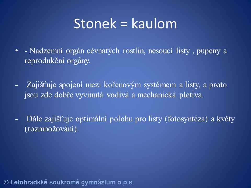Stonek = kaulom - Nadzemní orgán cévnatých rostlin, nesoucí listy , pupeny a reprodukční orgány.