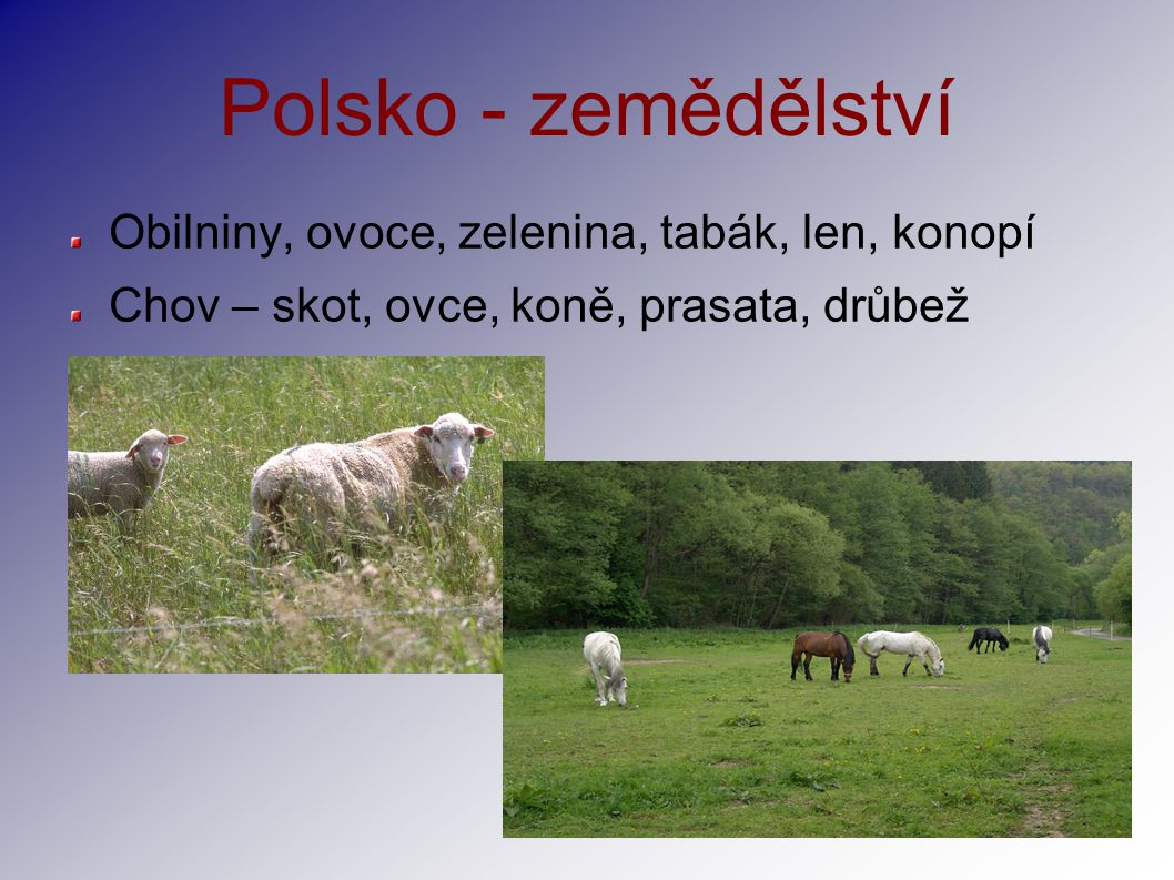 Polsko - zemědělství Obilniny, ovoce, zelenina, tabák, len, konopí