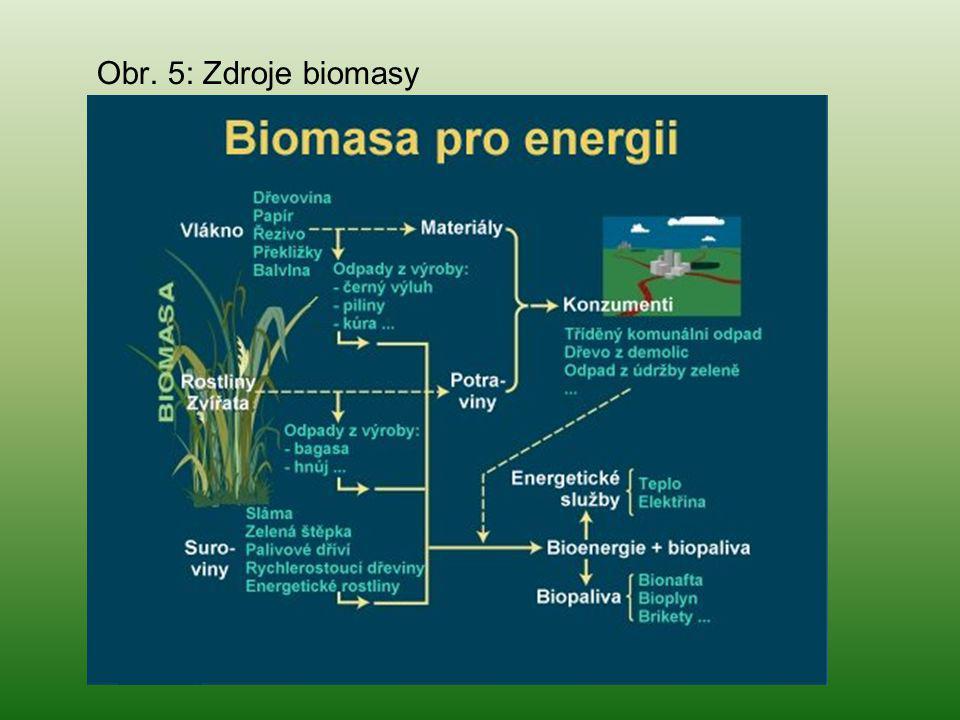 Obr. 5: Zdroje biomasy