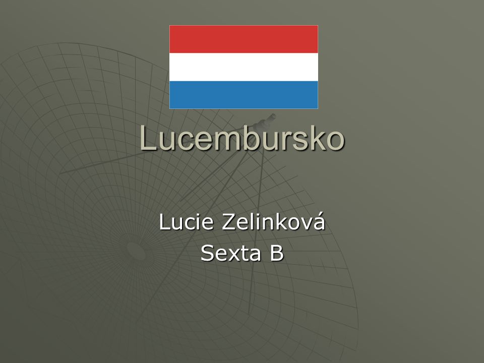 Lucie Zelinková Sexta B