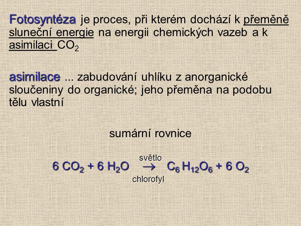 Fotosyntéza je proces, při kterém dochází k přeměně sluneční energie na energii chemických vazeb a k asimilaci CO2