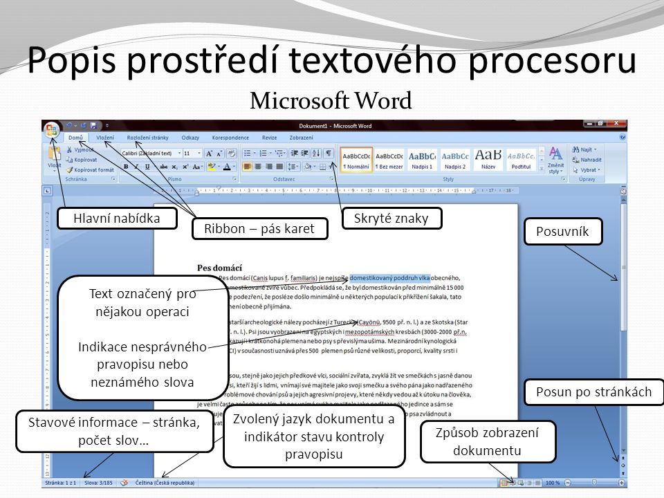 Popis prostředí textového procesoru