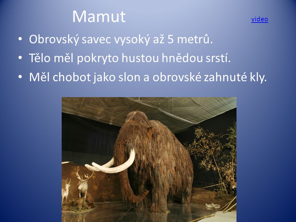 Mamut Obrovský savec vysoký až 5 metrů.