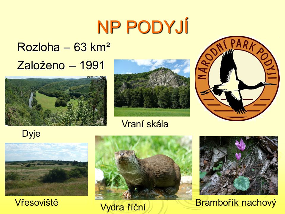 NP PODYJÍ Rozloha – 63 km² Založeno – 1991 Vraní skála Dyje Vřesoviště