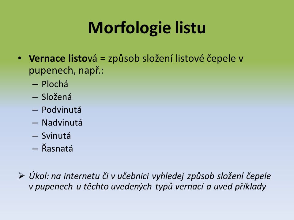 Morfologie listu Vernace listová = způsob složení listové čepele v pupenech, např.: Plochá. Složená.