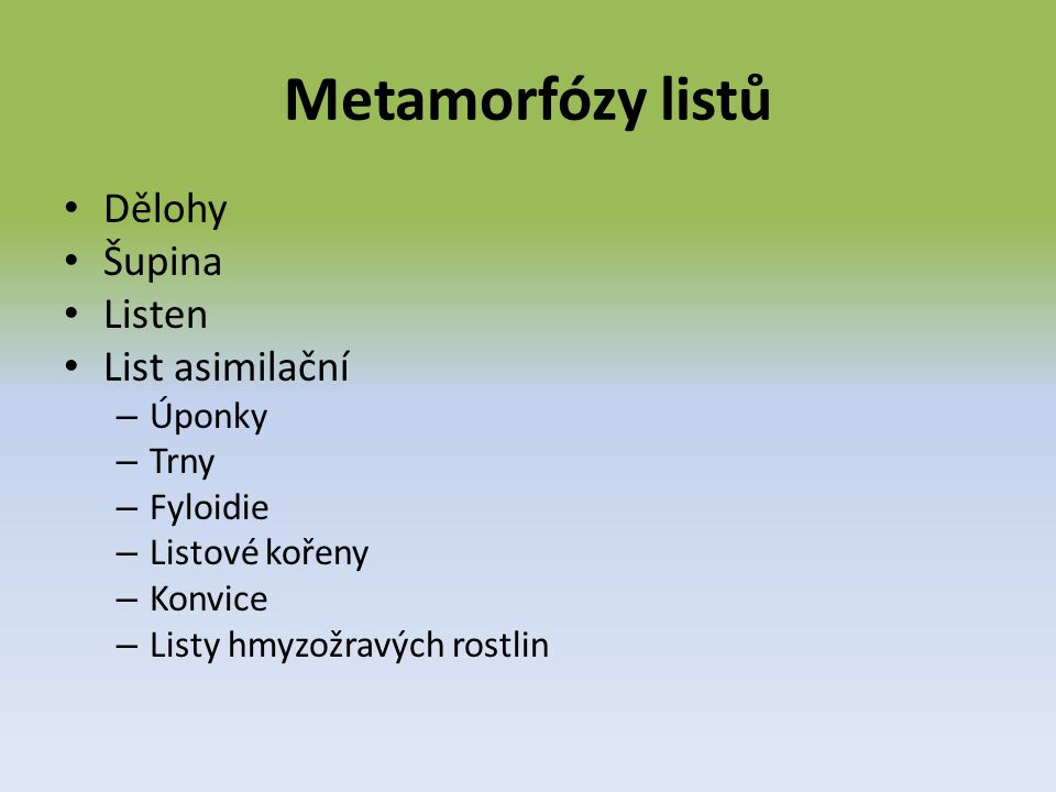 Metamorfózy listů Dělohy Šupina Listen List asimilační Úponky Trny