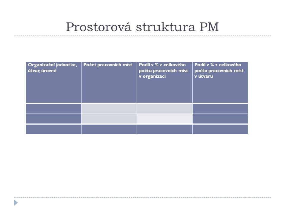 Prostorová struktura PM