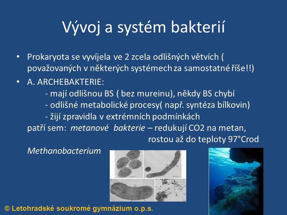 Vývoj a systém bakterií