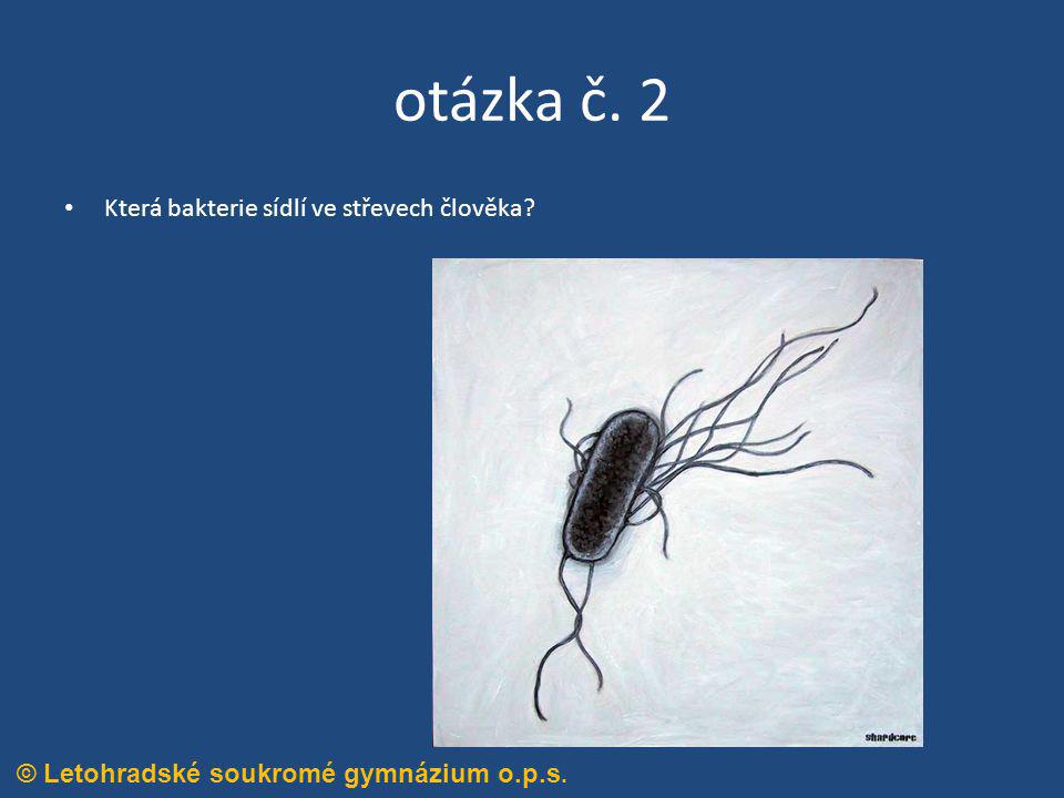 otázka č. 2 Která bakterie sídlí ve střevech člověka