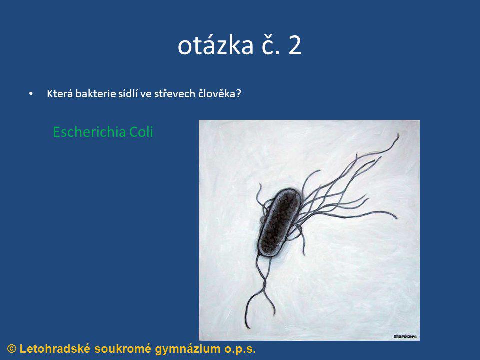 otázka č. 2 Která bakterie sídlí ve střevech člověka Escherichia Coli