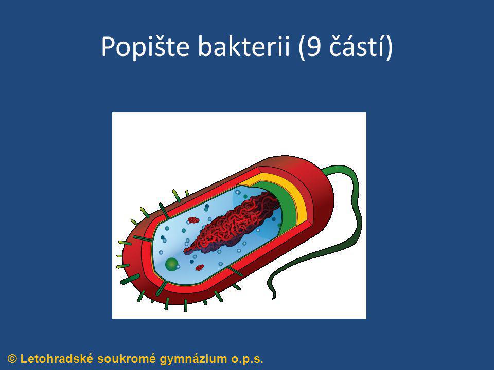 Popište bakterii (9 částí)