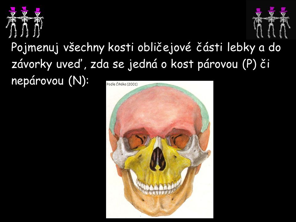 Pojmenuj všechny kosti obličejové části lebky a do závorky uveď, zda se jedná o kost párovou (P) či nepárovou (N):