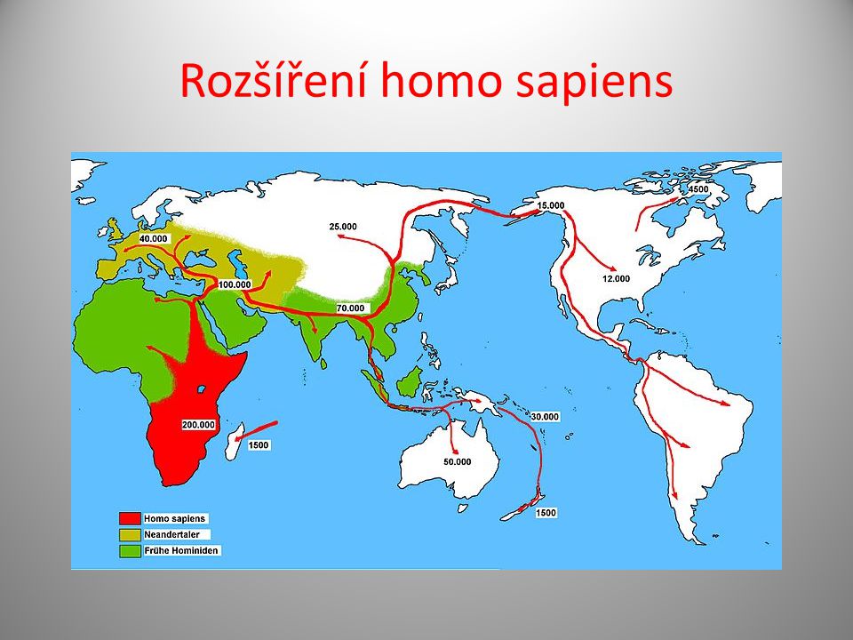 Rozšíření homo sapiens
