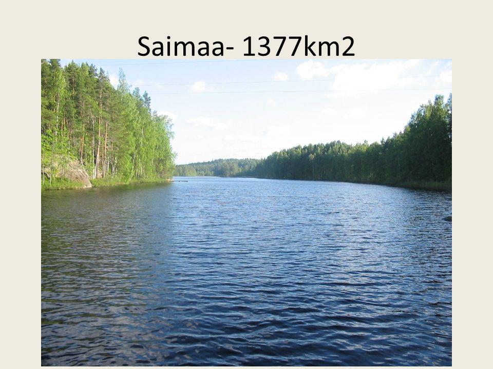 Saimaa- 1377km2