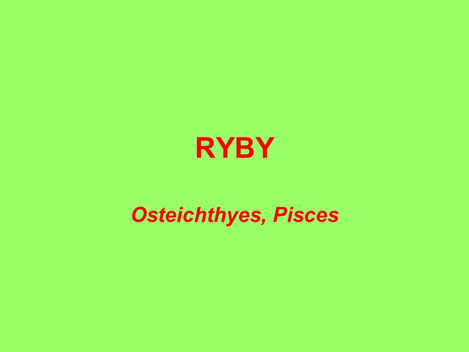 RYBY Osteichthyes, Pisces