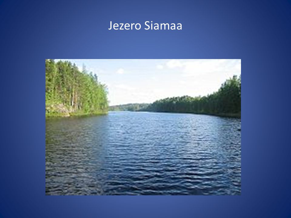 Jezero Siamaa