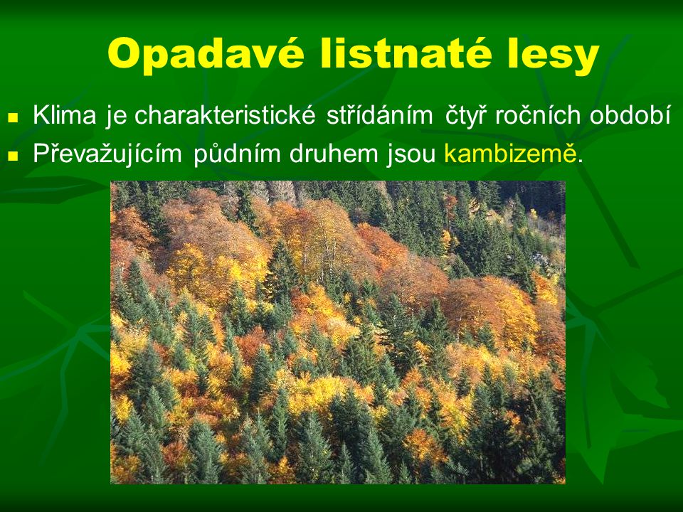 Opadavé listnaté lesy Klima je charakteristické střídáním čtyř ročních období.