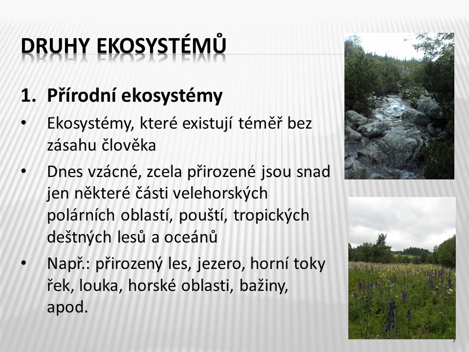 Druhy ekosystémů Přírodní ekosystémy