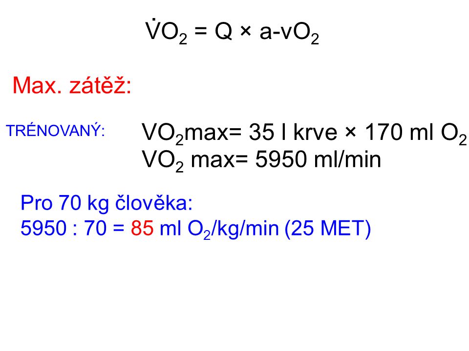 . VO2 = Q × a-vO2 Max. zátěž: VO2max= 35 l krve × 170 ml O2
