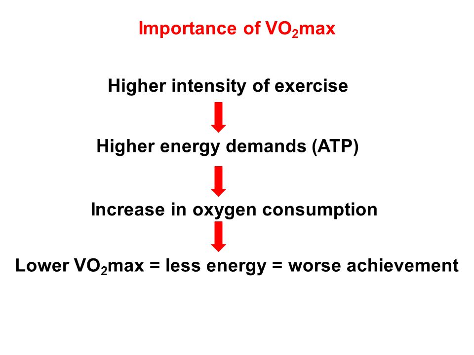 Importance of VO2max Higher intensity of exercise. Higher energy demands (ATP) Increase in oxygen consumption.