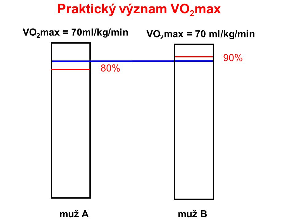 Praktický význam VO2max
