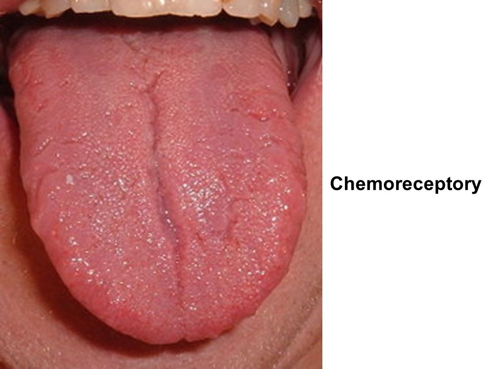 Chemoreceptory