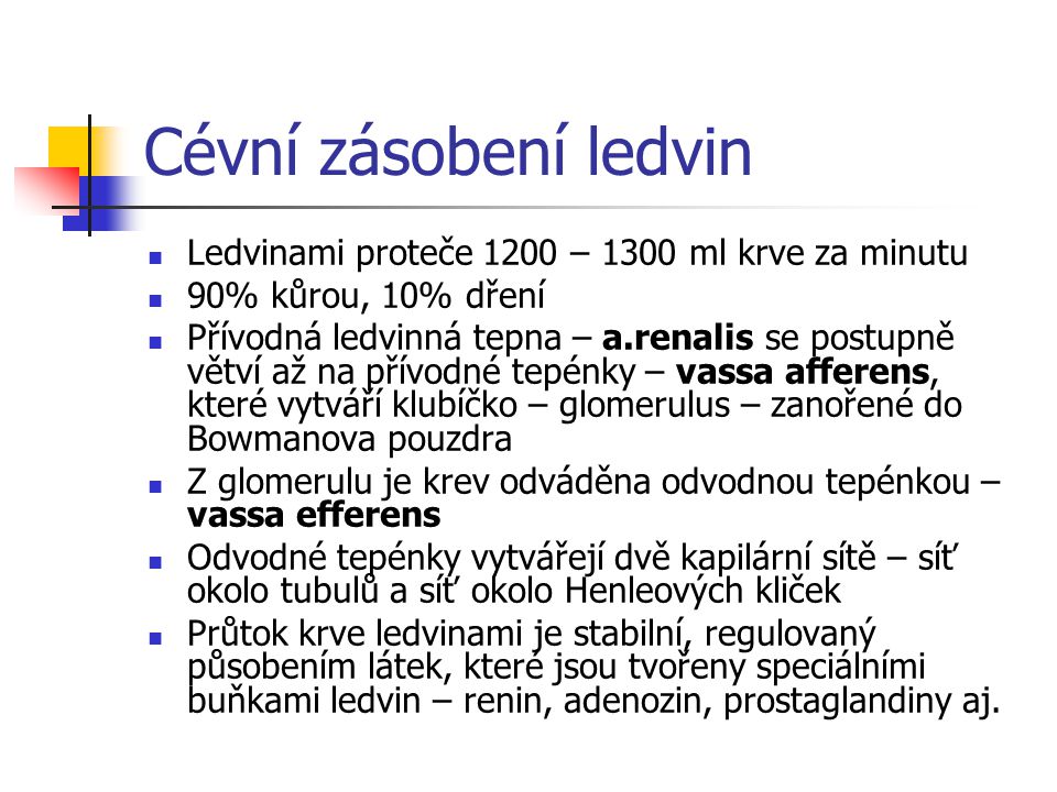 Cévní zásobení ledvin Ledvinami proteče 1200 – 1300 ml krve za minutu