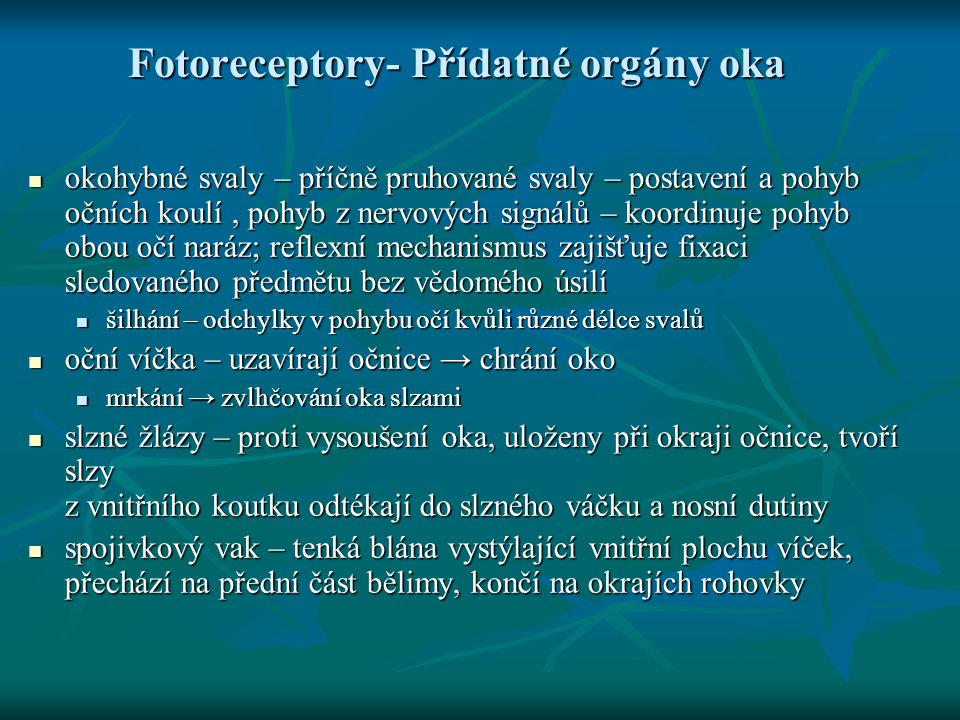 Fotoreceptory- Přídatné orgány oka
