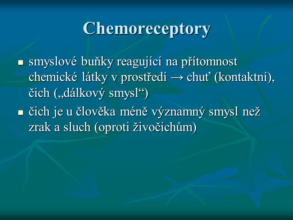Chemoreceptory smyslové buňky reagující na přítomnost chemické látky v prostředí → chuť (kontaktní), čich („dálkový smysl )